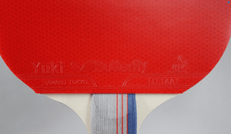 מחבט בטרפליי מקצועי כולל כיסוי BUTTERFLY TBC401 – תמונה 3